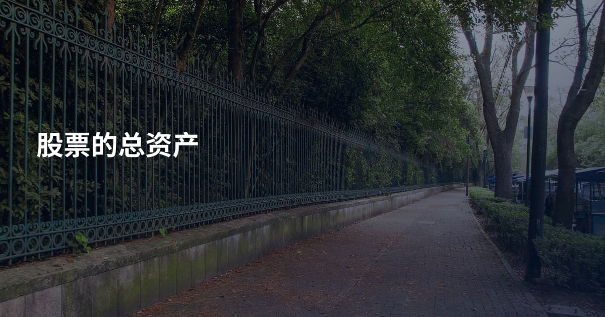 股票的总资产