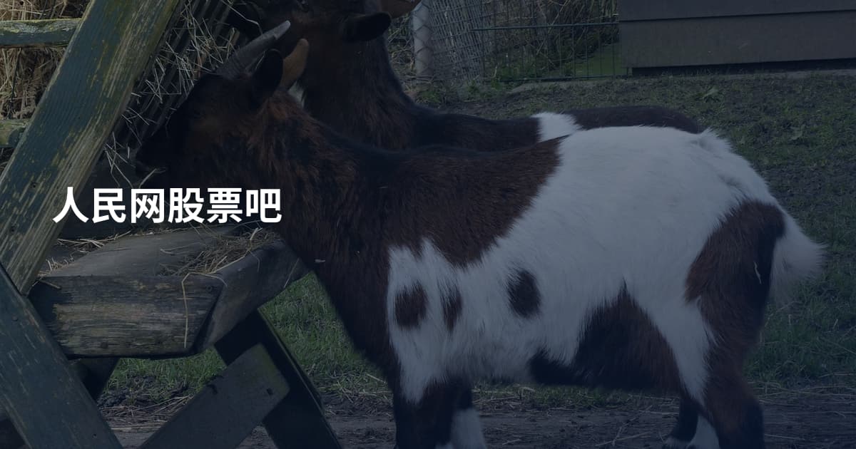 人民网股票吧