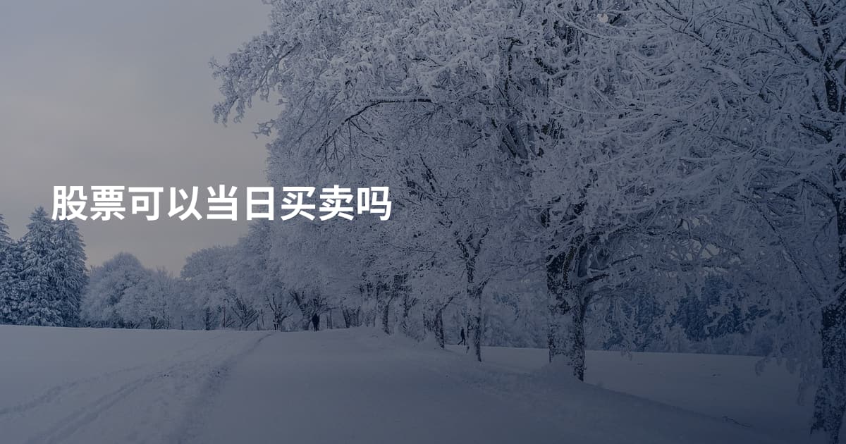 股票可以当日买卖吗