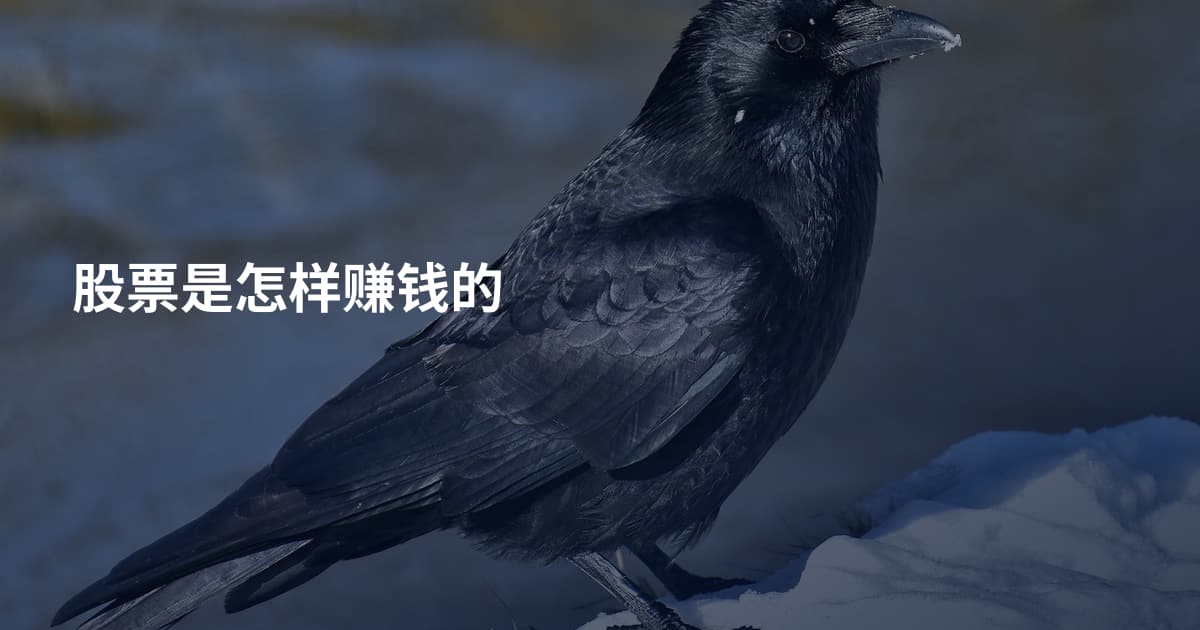 股票是怎样赚钱的