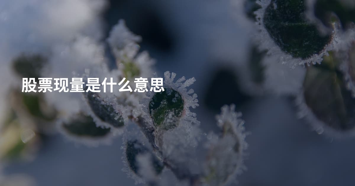 股票现量是什么意思