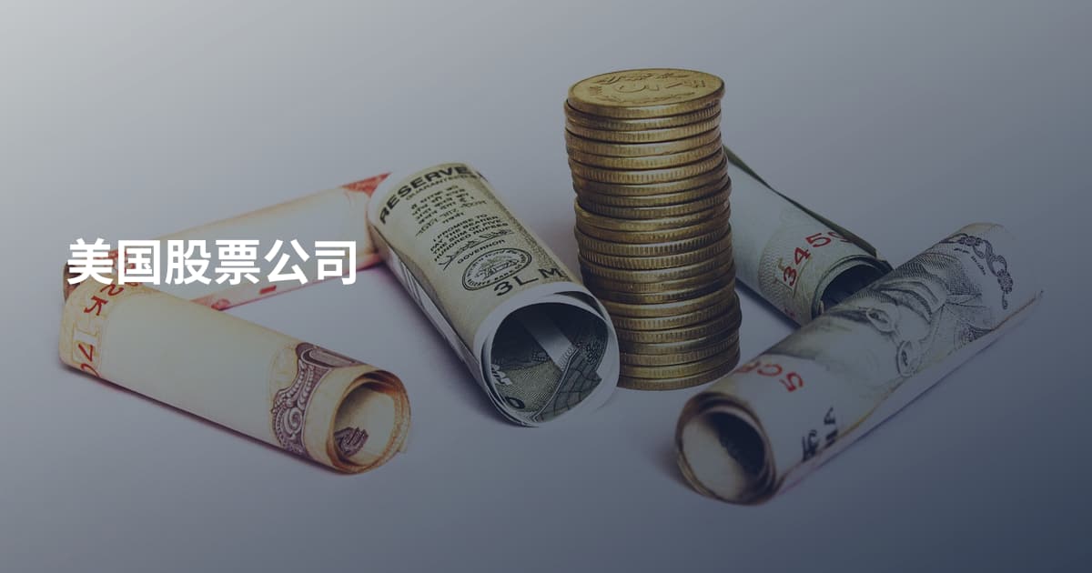 美国股票公司