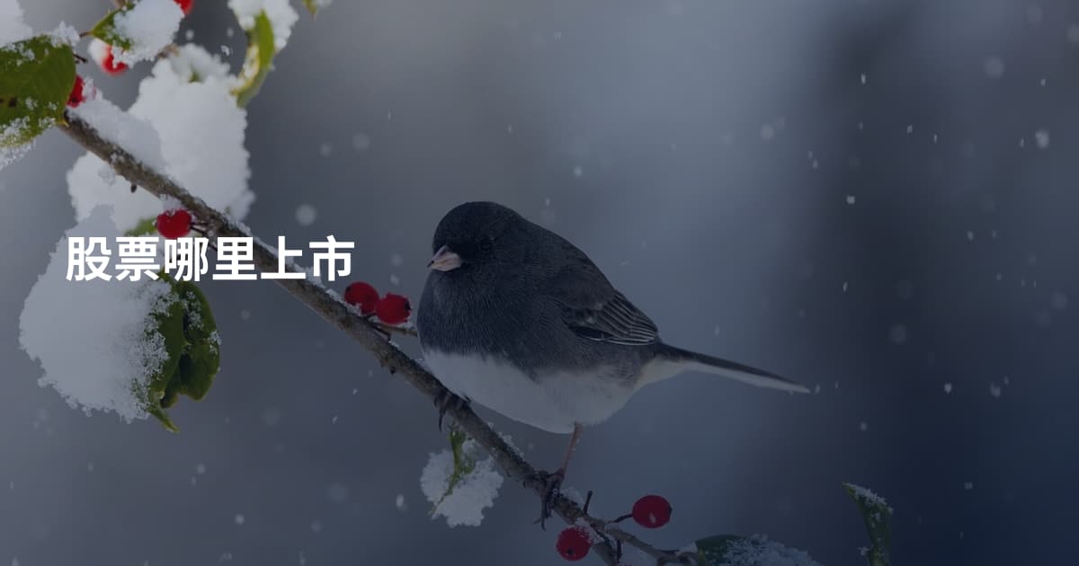股票哪里上市
