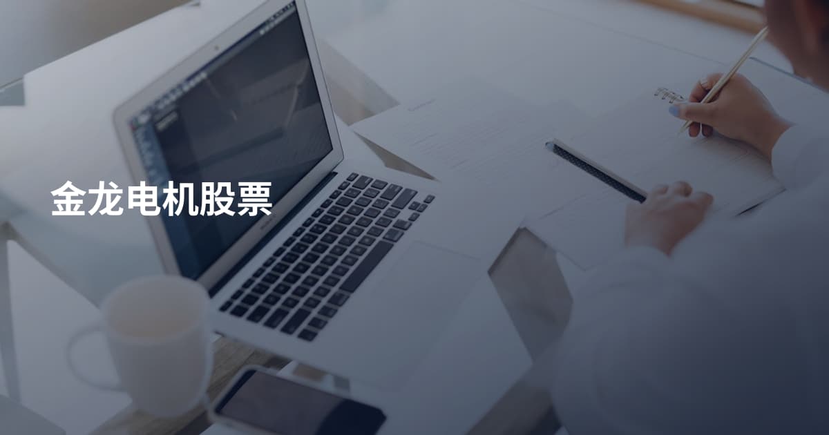 金龙电机股票