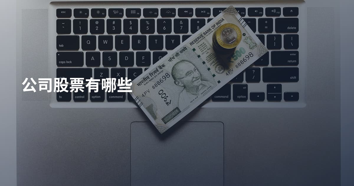 公司股票有哪些