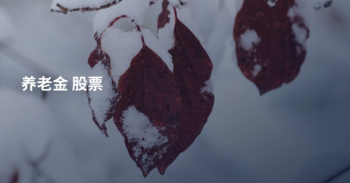 养老金 股票