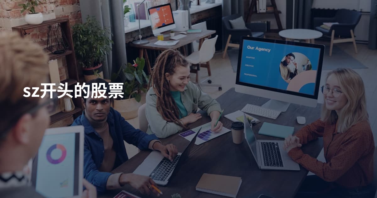 sz开头的股票