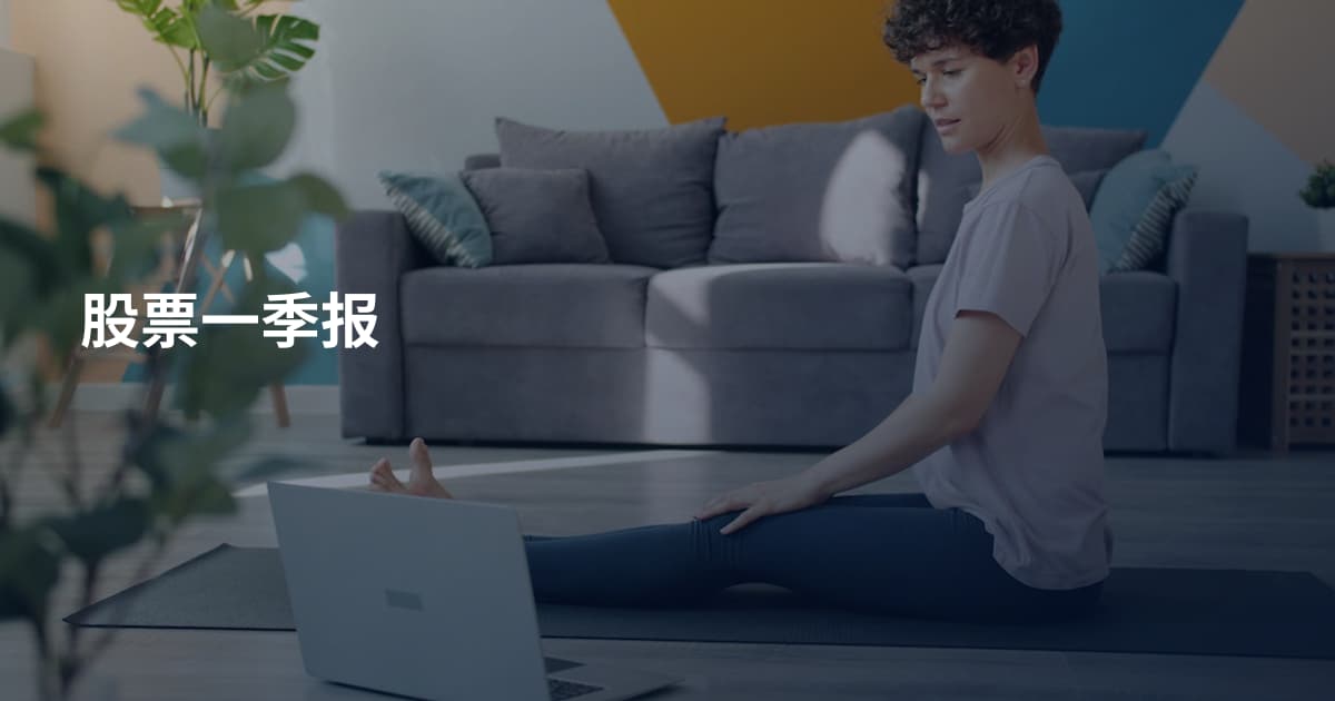 股票一季报