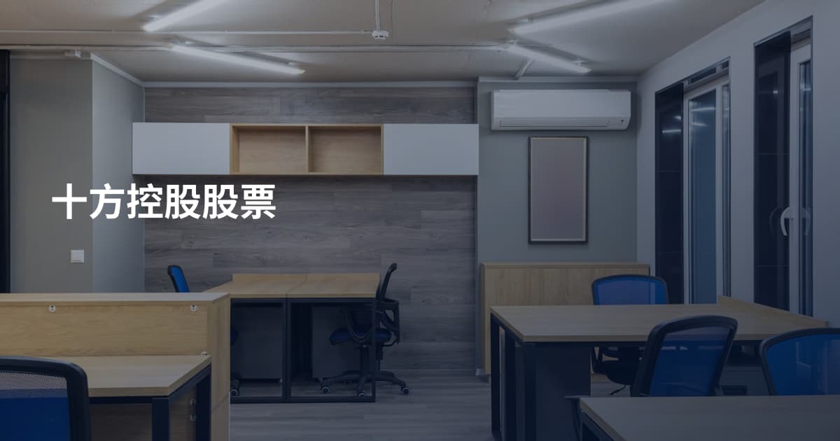 十方控股股票
