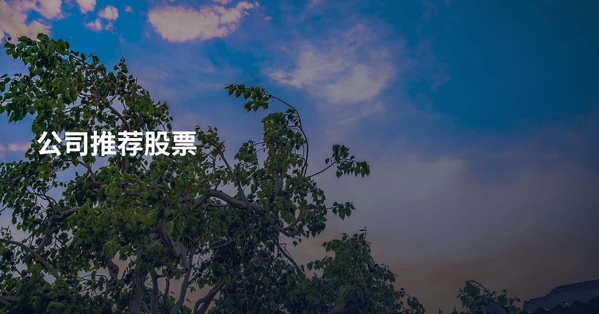公司推荐股票