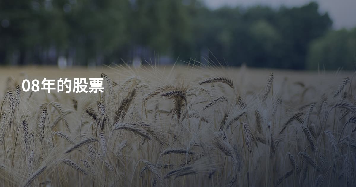 08年的股票