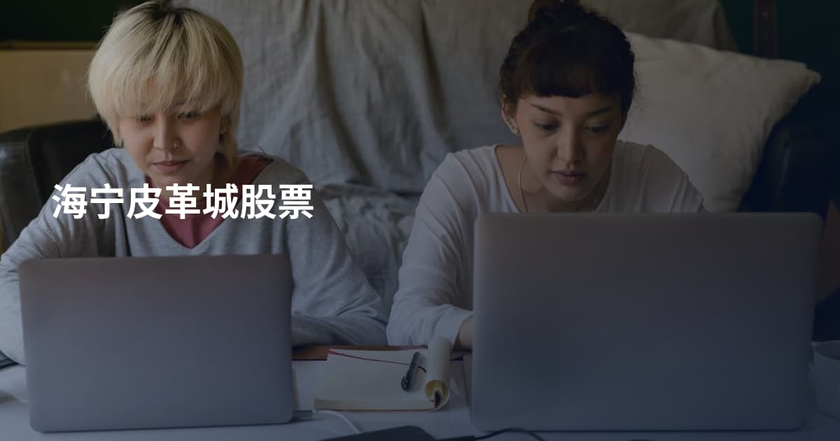 海宁皮革城股票