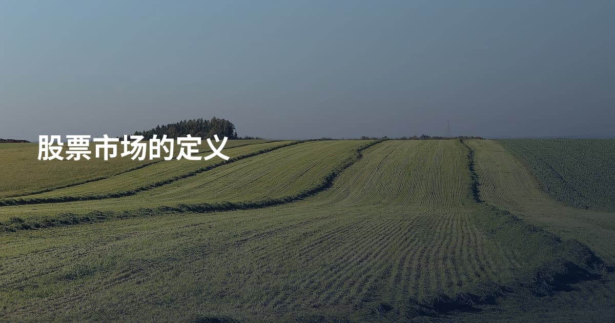 股票市场的定义