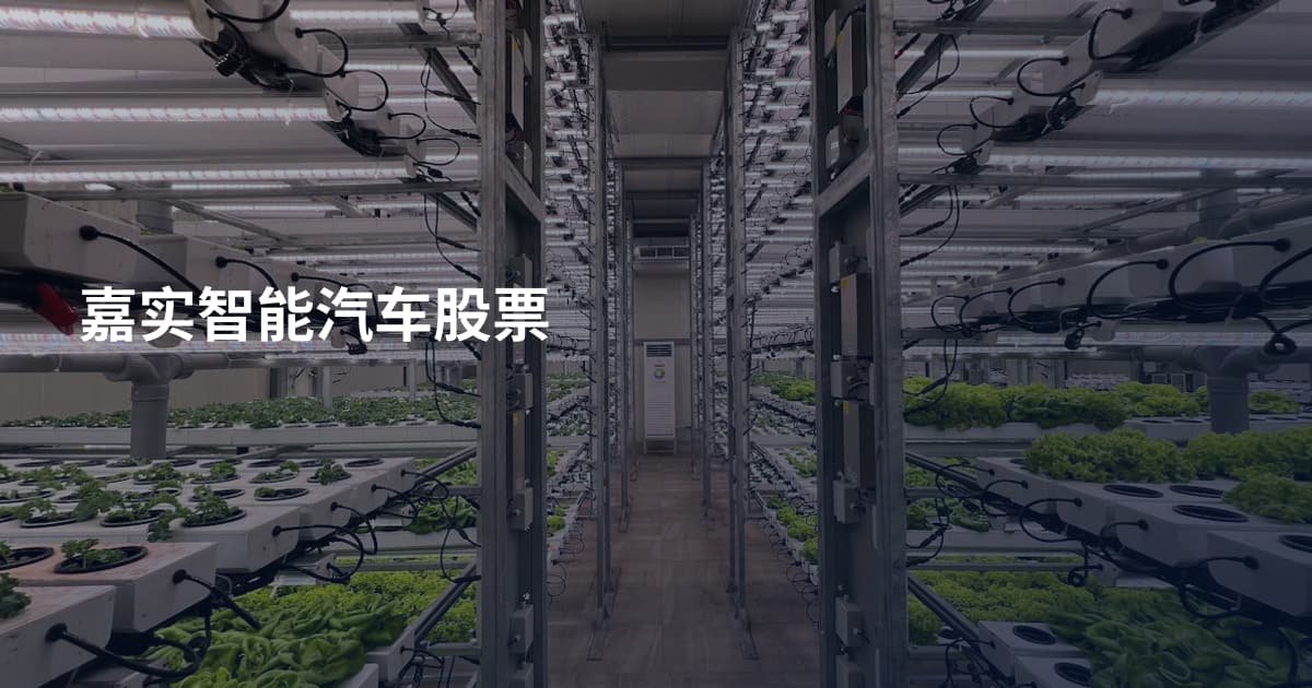 嘉实智能汽车股票