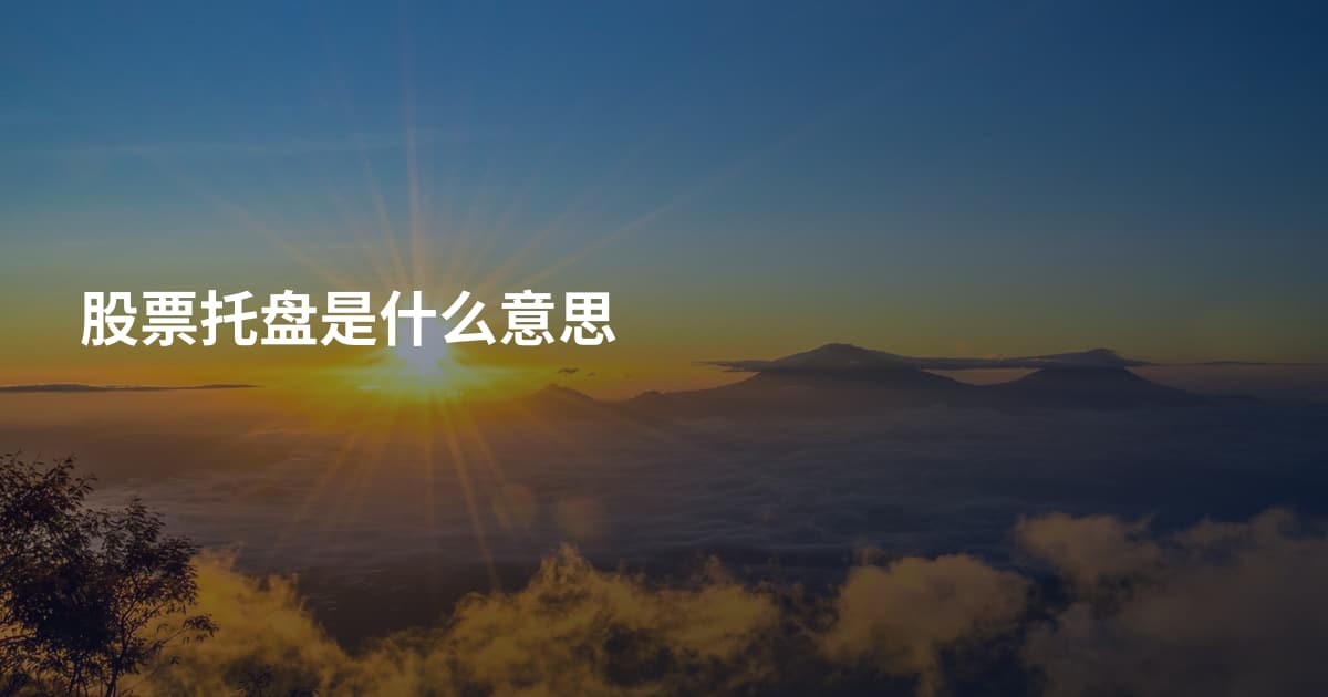 股票托盘是什么意思