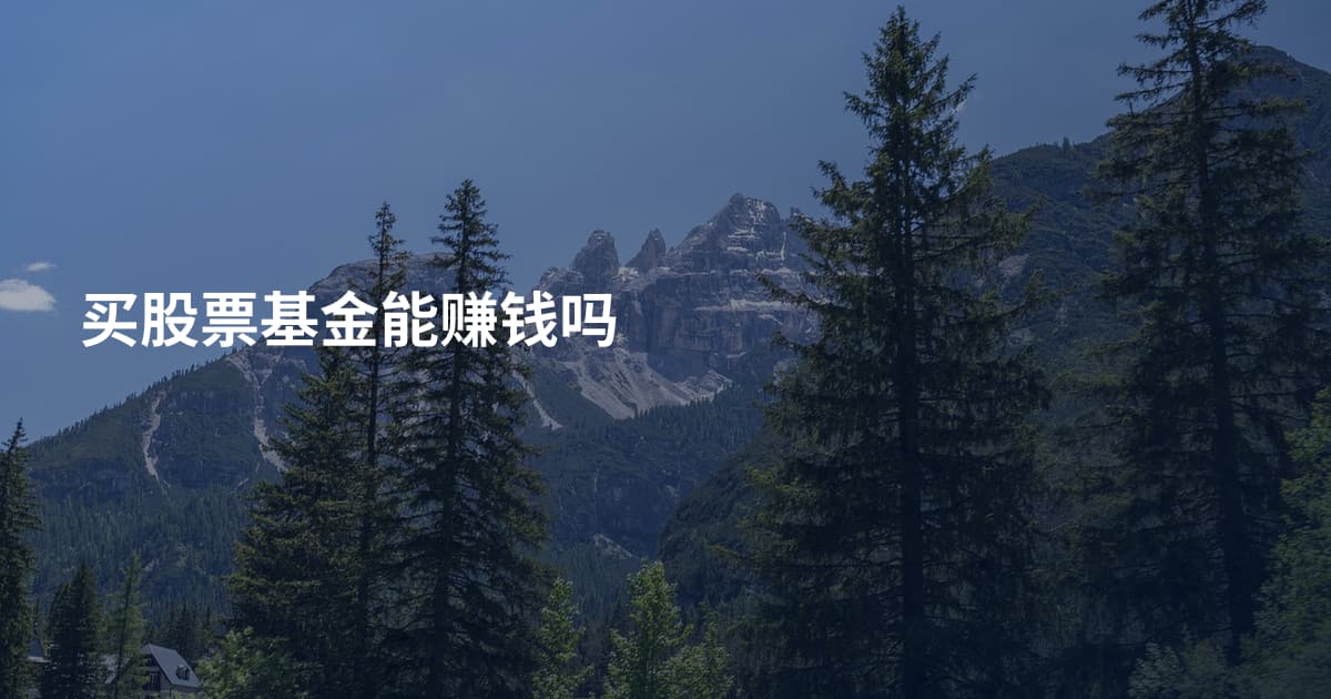 买股票基金能赚钱吗