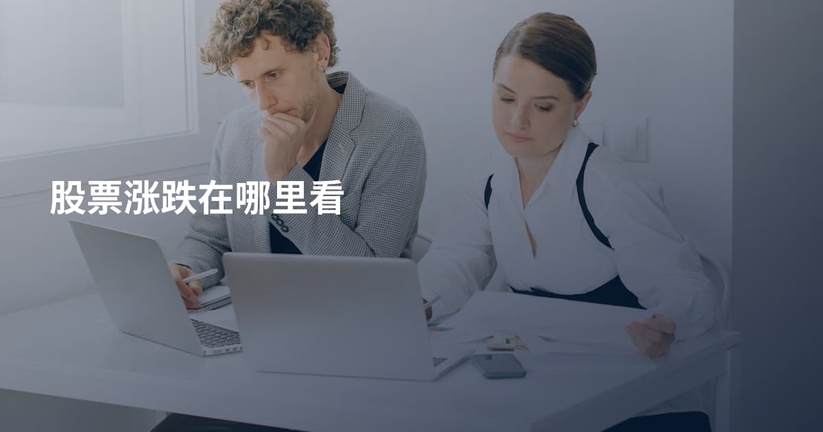 股票涨跌在哪里看