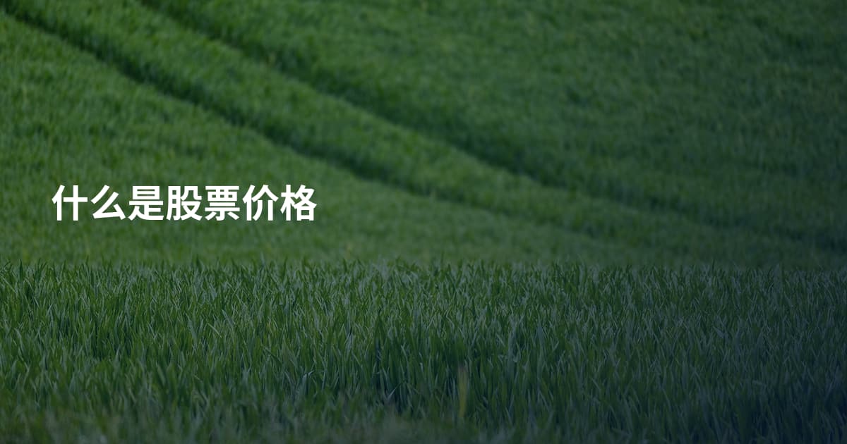 什么是股票价格