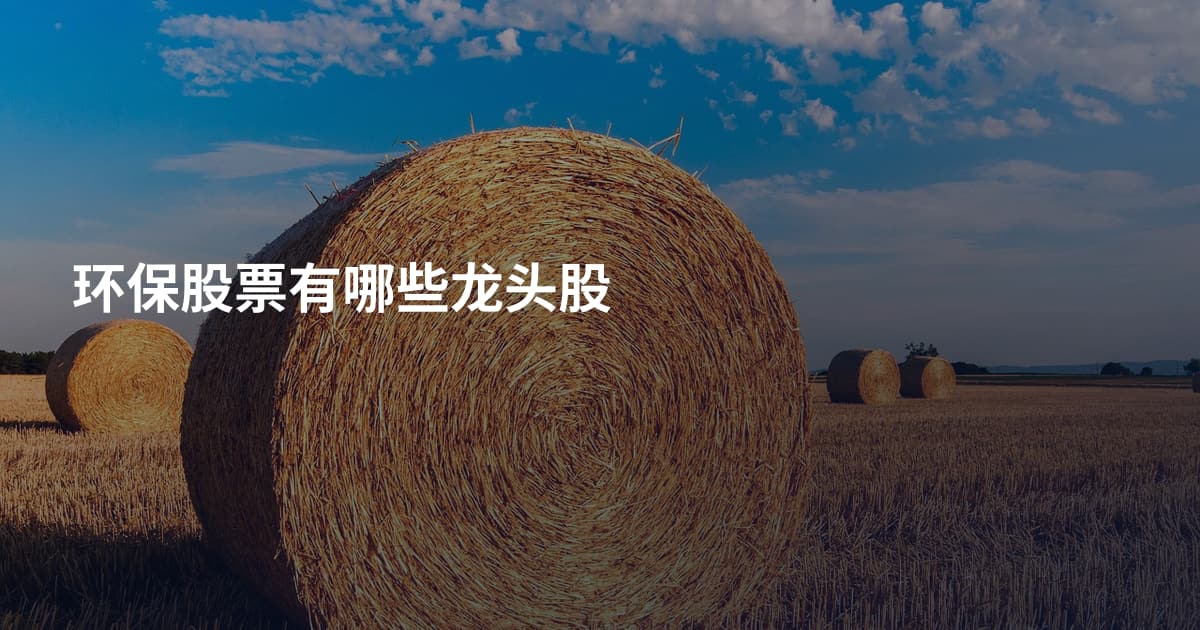 环保股票有哪些龙头股