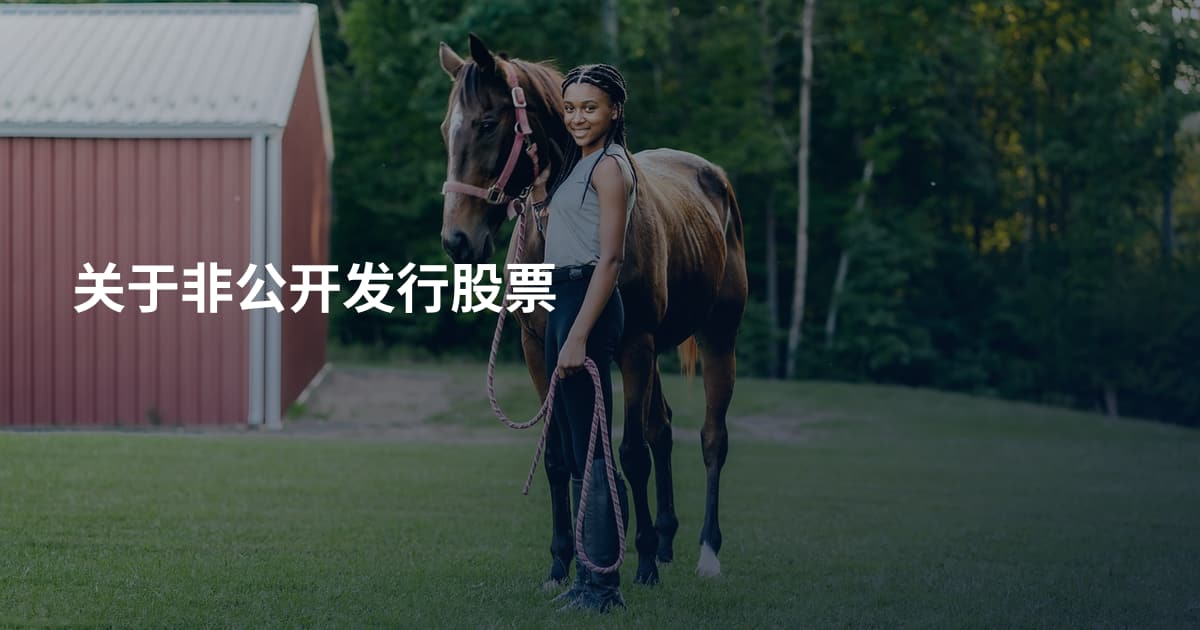 关于非公开发行股票