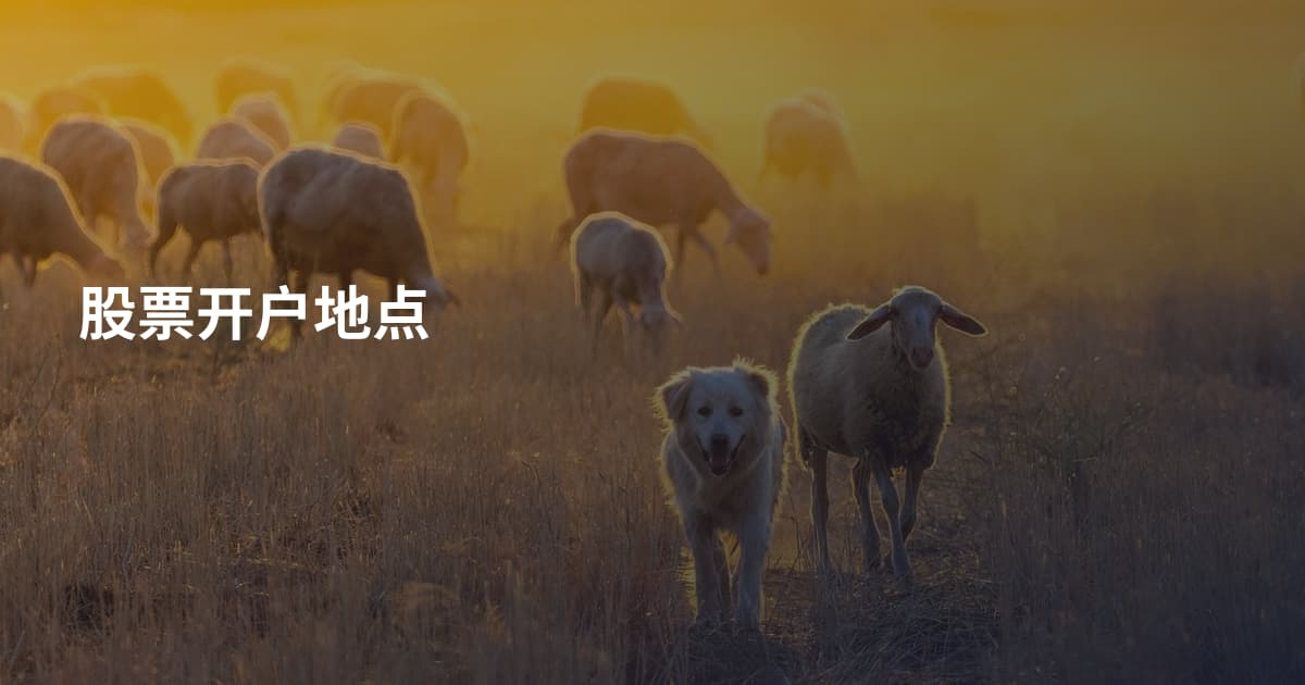 股票开户地点