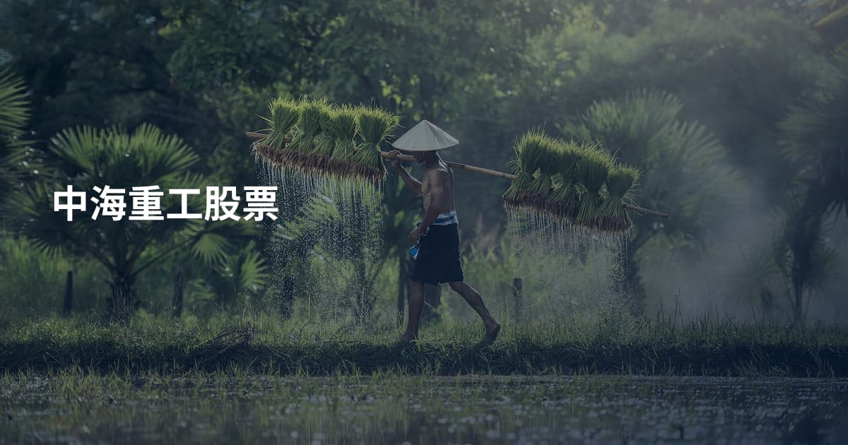 中海重工股票