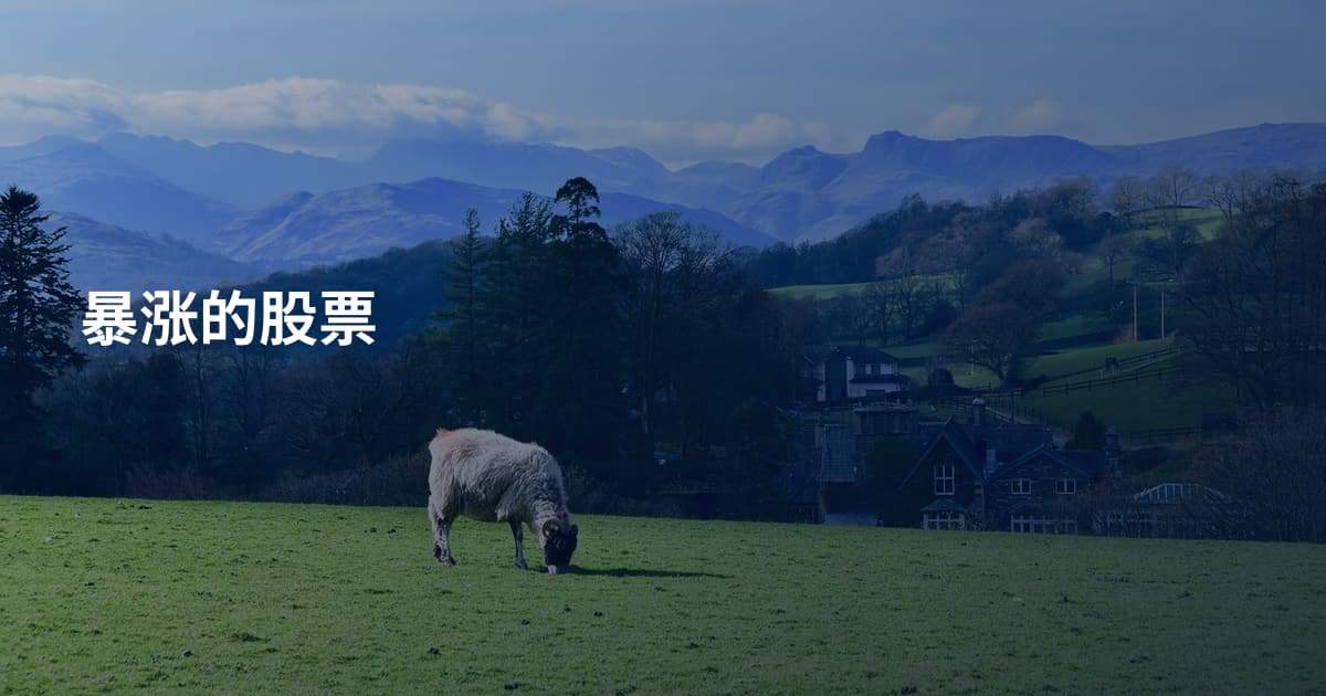 暴涨的股票