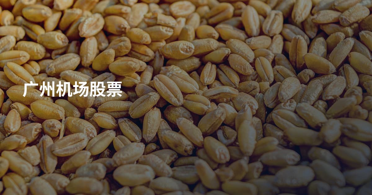 广州机场股票