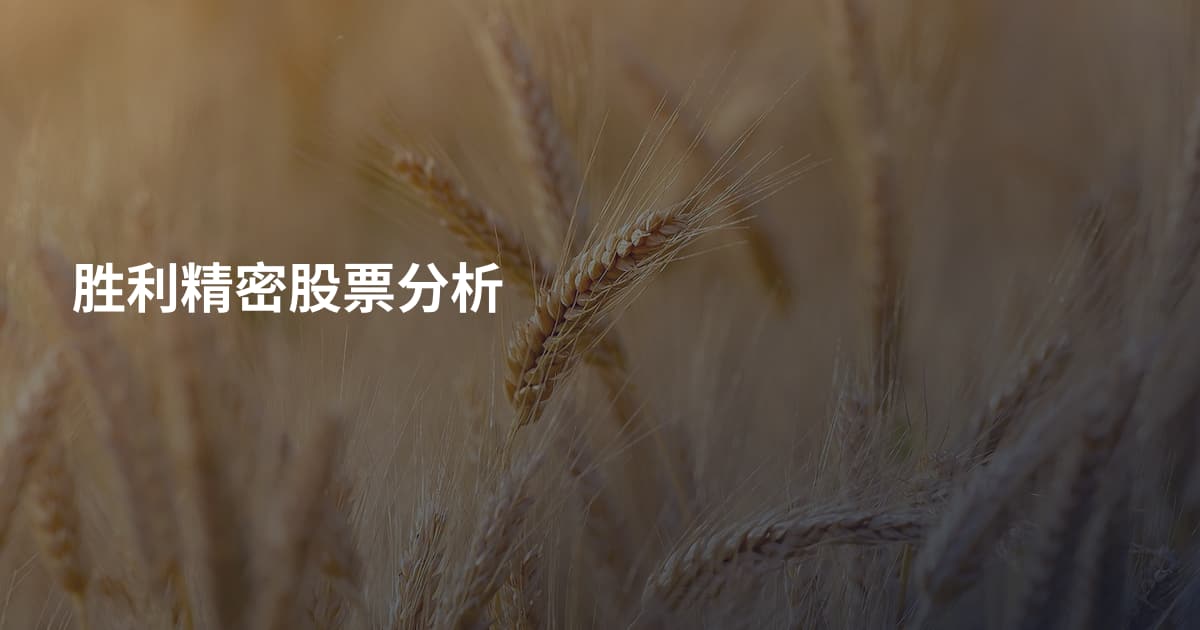 胜利精密股票分析