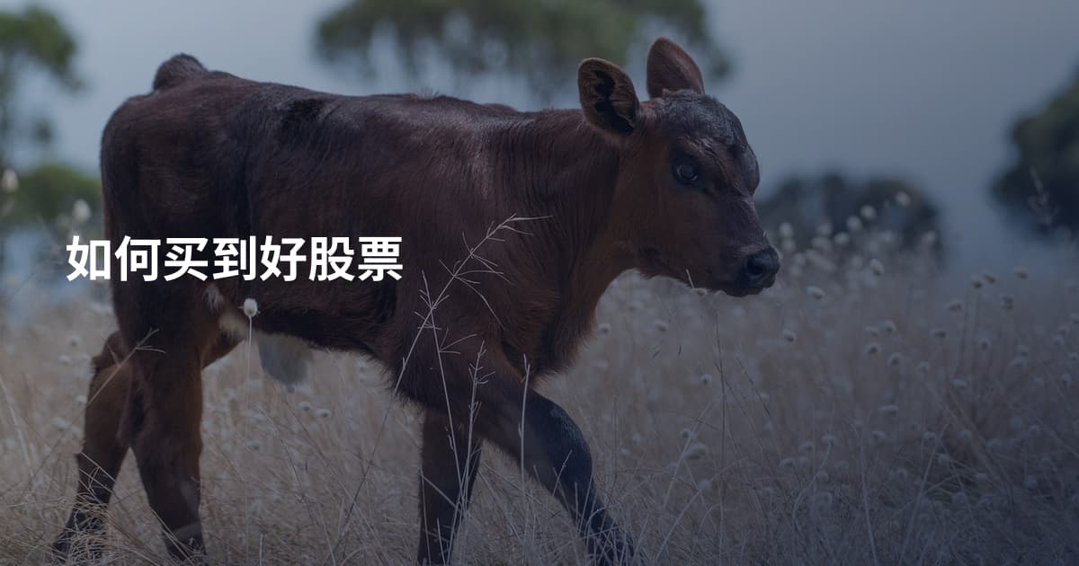 如何买到好股票
