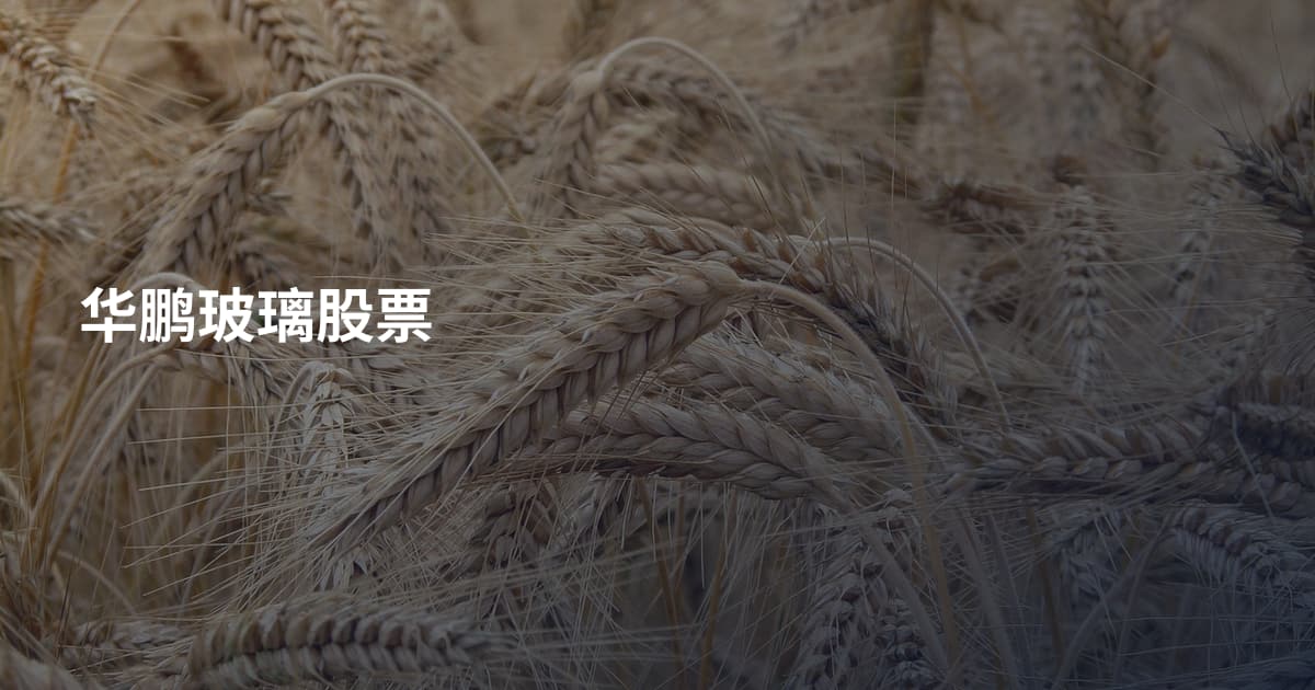 华鹏玻璃股票