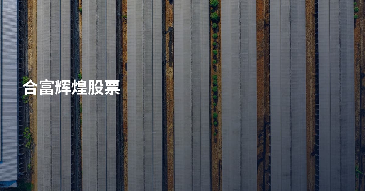 合富辉煌股票