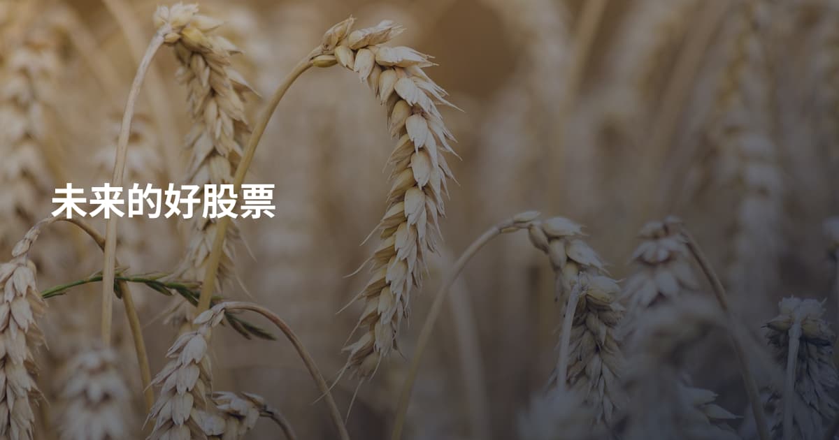 未来的好股票