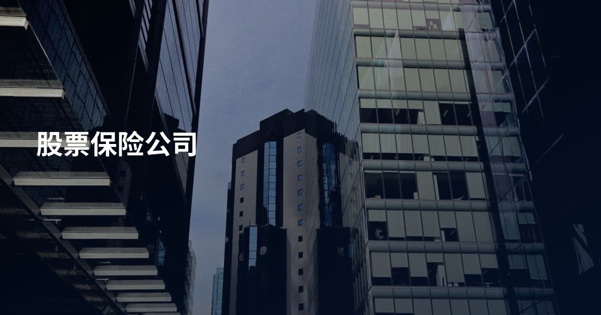 股票保险公司