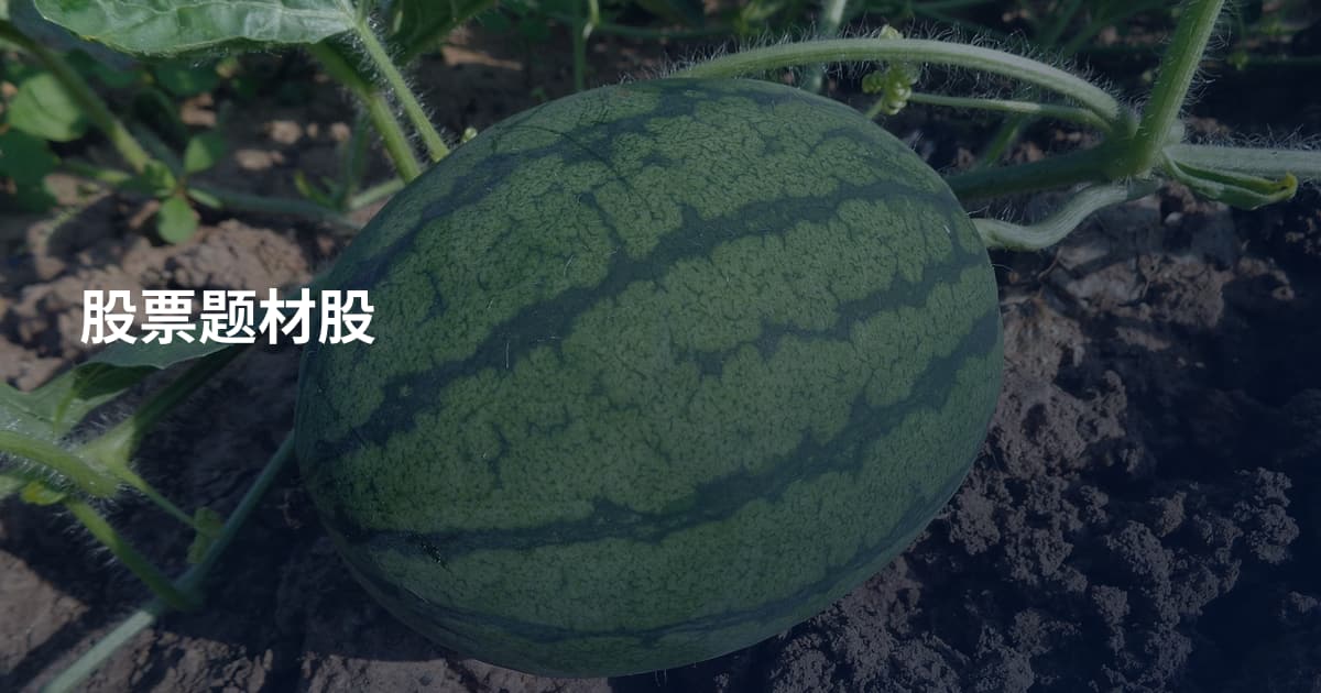 股票题材股