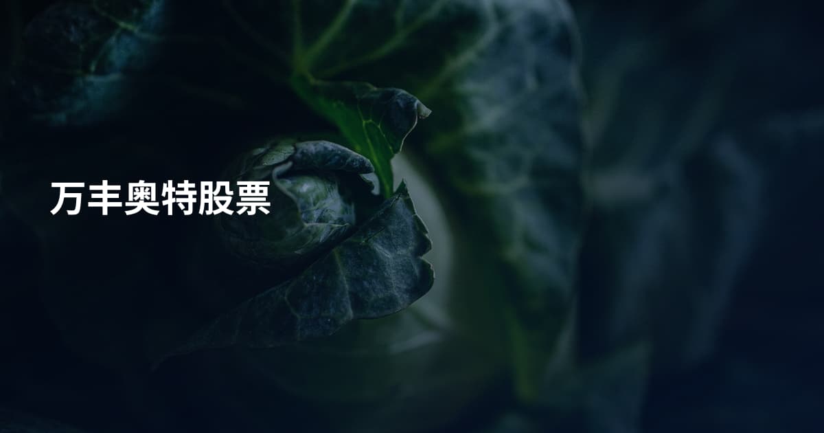 万丰奥特股票