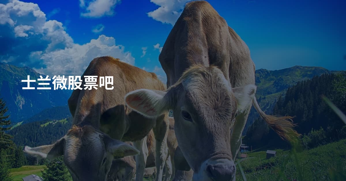 士兰微股票吧