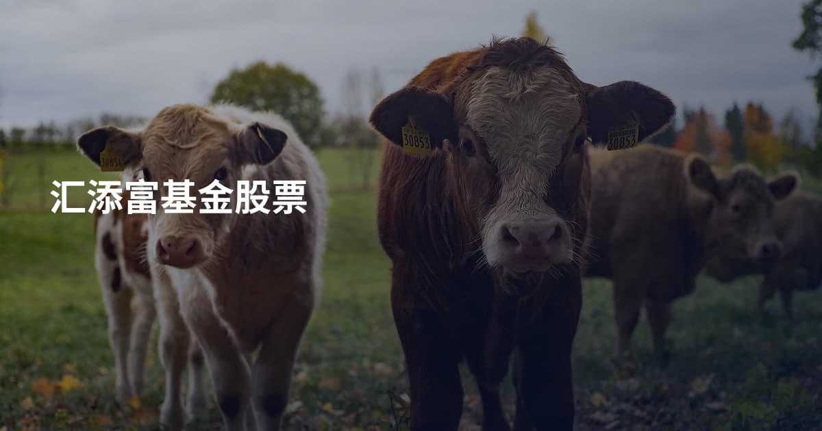 汇添富基金股票