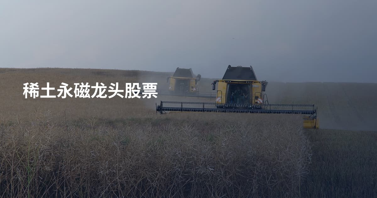 稀土永磁龙头股票