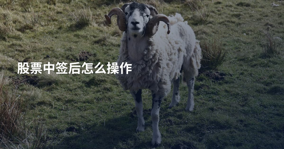 股票中签后怎么操作