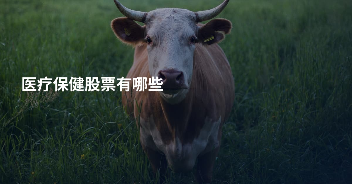医疗保健股票有哪些