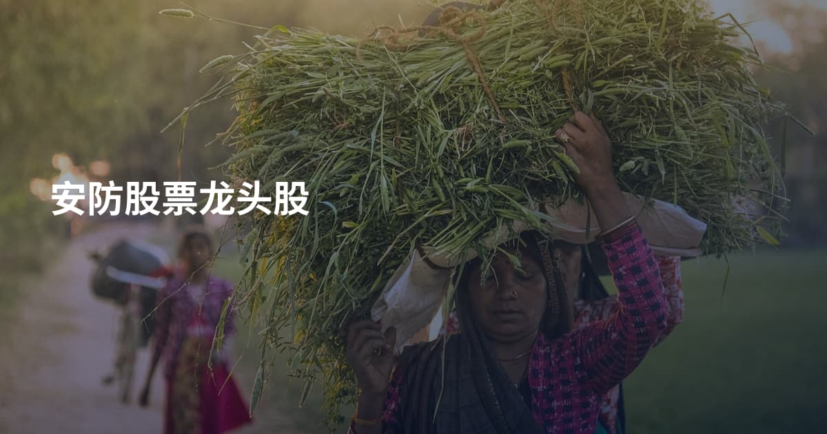 安防股票龙头股
