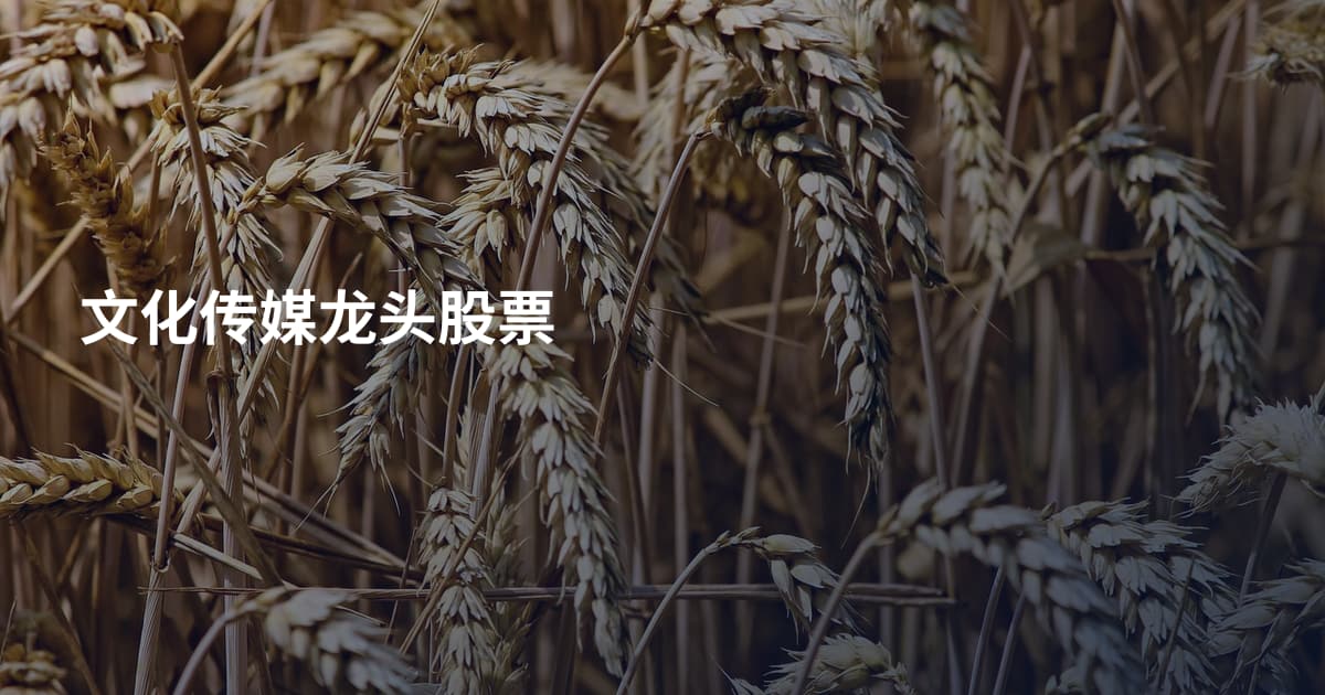 文化传媒龙头股票