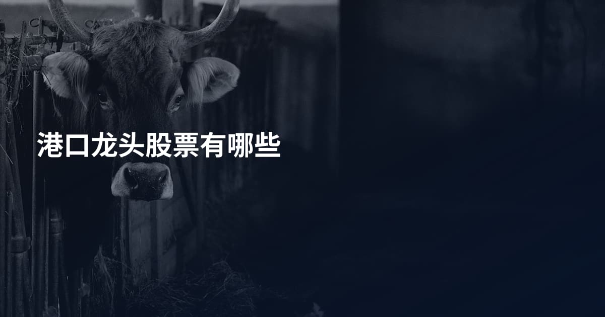 港口龙头股票有哪些