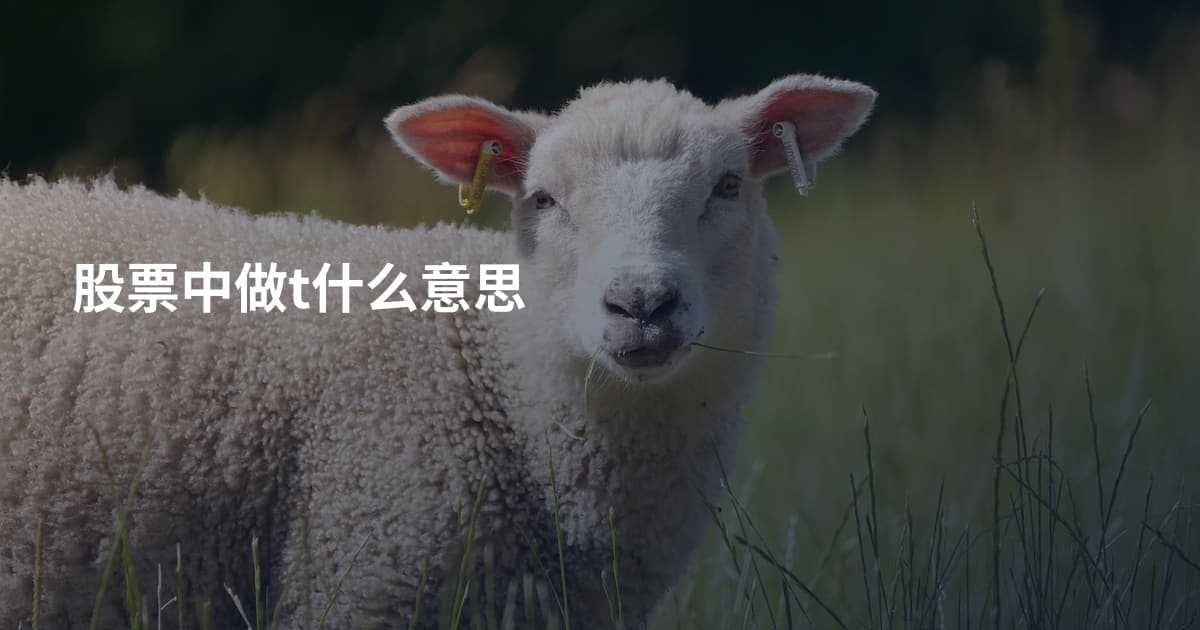 股票中做t什么意思