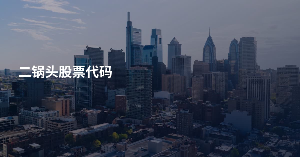 二锅头股票代码
