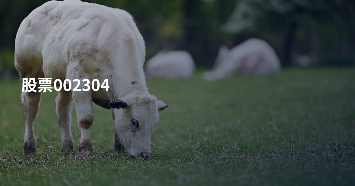 股票002304
