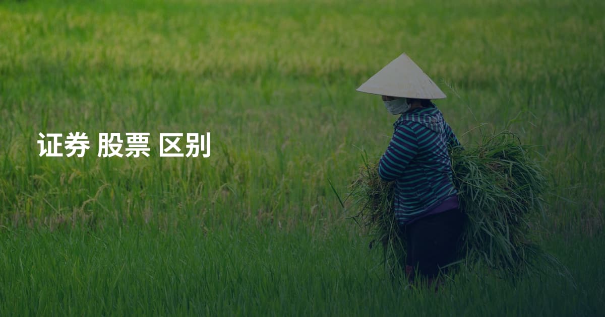 证券 股票 区别
