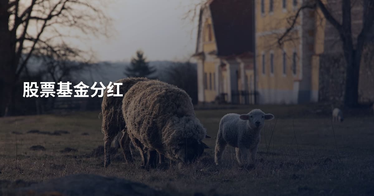 股票基金分红