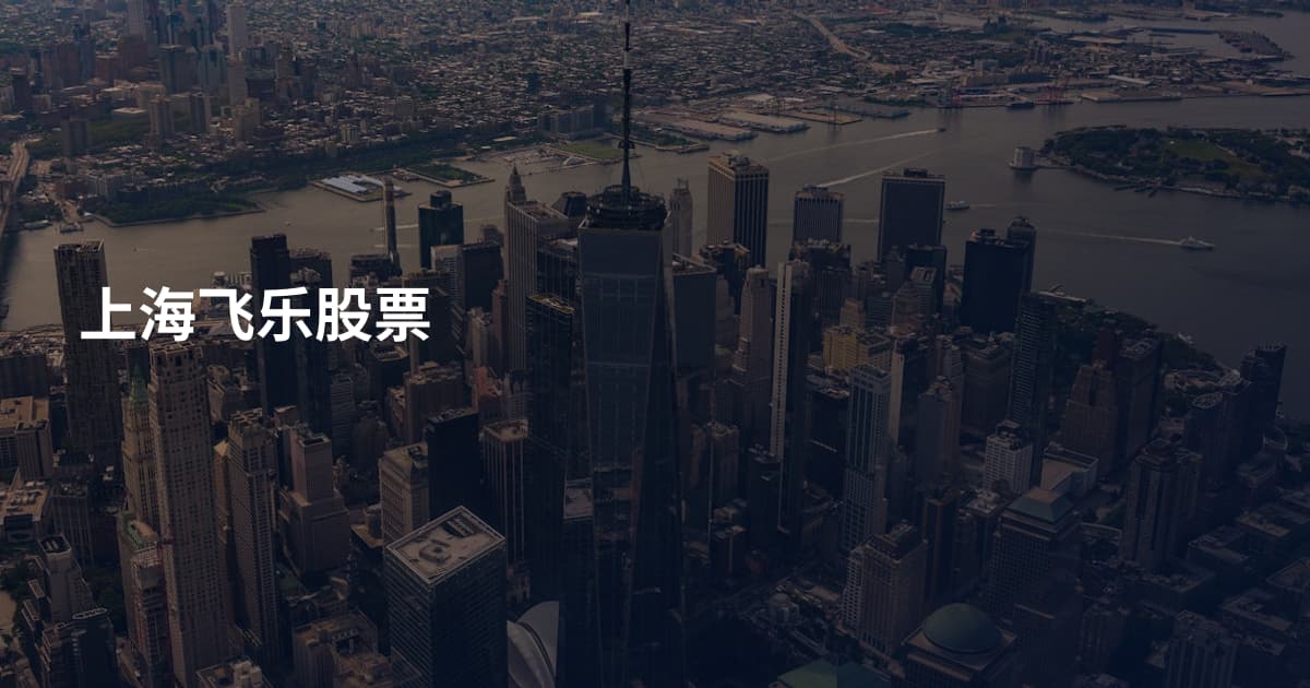 上海飞乐股票
